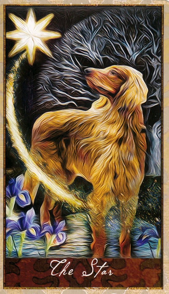 Wise Dog Tarot